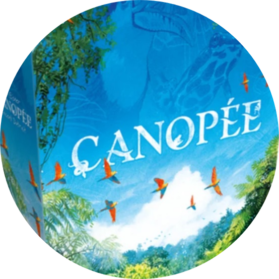 jeu-canopee-rond jeu-canopee-rond