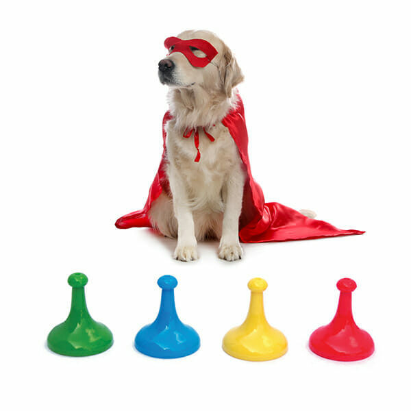 Adorable dog in blue superhero cape and mask on white background
