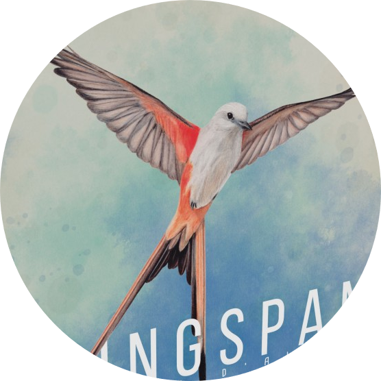 jeu-wingspan-rond jeu-wingspan-rond